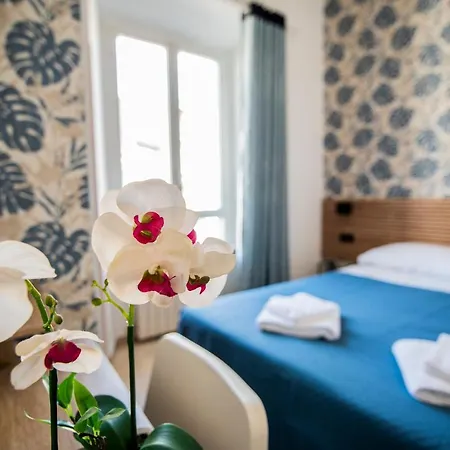 德勒尔布酒店 2* 罗马